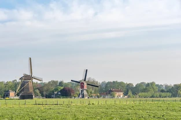 Beëdigd Fries-vertaler met acceptatiegarantie